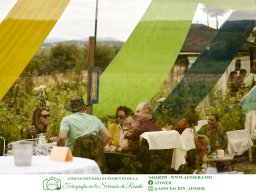 Festival Mar de Tethys 2026 - Bodega Vetas